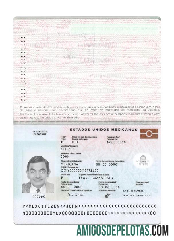 Passaporte do México Novo Presente 2022 baixar para verificação